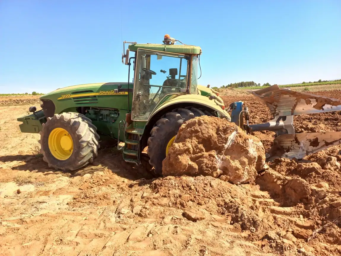 Cómo preparar el terreno antes de plantar